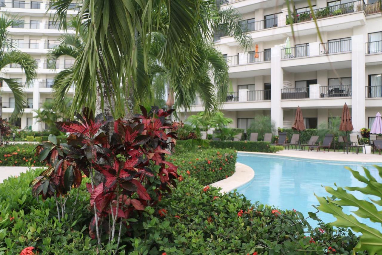 Ferienwohnung Amaluc Zac Jacó Exterior foto